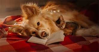 Books of Cats and Dogs