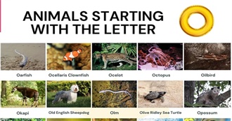 &quot;O&quot; Animals