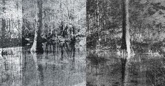 Weird and Strange Films LWNWRK Saw in a Swamp