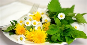 Weed Appreciation Day - Salads With Wild Plants