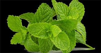 10 Foods With Peppermint