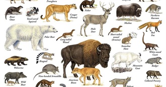 Mammals of North America