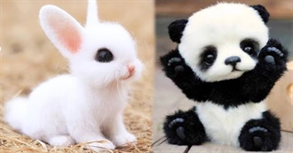 Super Cute Animals