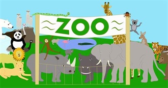 Zoo Animals