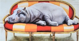 Couch Hippo or Bust