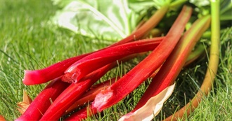 10 Foods With Rhubarb