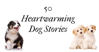 50 Heartwarming Dog Stories