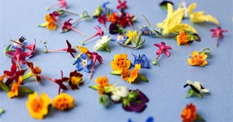 Edible Flower Buffet