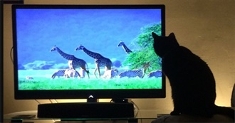 TV Shows This Cat Has Watched