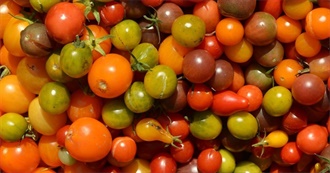 Tomato Cultivars