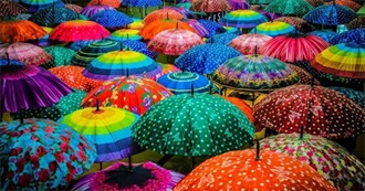 Rainy Day Books