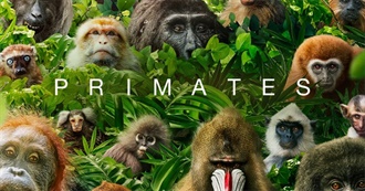 Primates in Pop Culture and Media