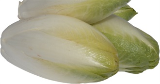 10 Foods With Endive