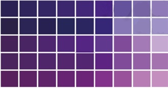 Shades of Purple