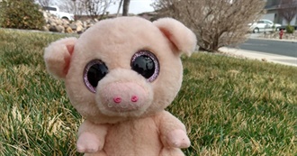 Beanieboolover&#39;s Favorite Beanie Boos