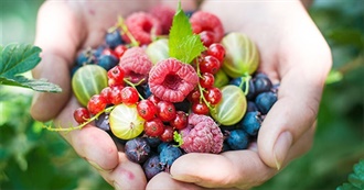 Fruits and Berries - How Many Have You Tried?