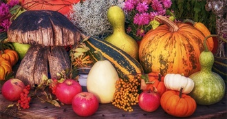 Foods to Eat in October (Central Europe)