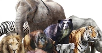 Top Favorite Mammals