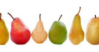 All About Pears