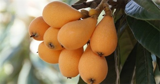 Foods With Loquat