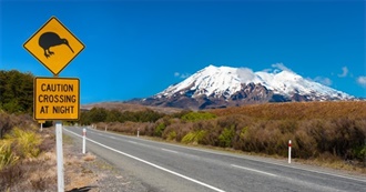 New Zealand Road Trip