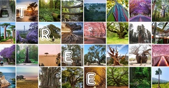 Arbor Day Travel List (Trees!)