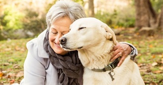 30 of the Best Dog Breeds for Seniors