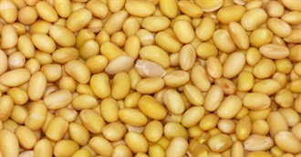 Zinc - Top 10 Legumes