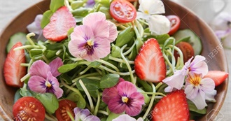 Wild Flowers and Plants You Can Actually Eat!