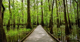 10 Best Places to Visit in South Carolina