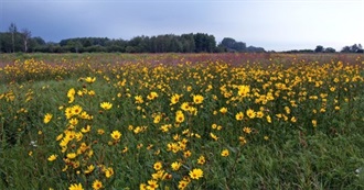 Birding Hotspots: Great Plains