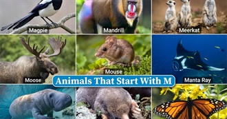 &quot;M&quot; Animals