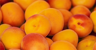 45 Foods With Apricots