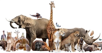 100 Best Zoos in the World