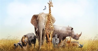 Akhil&#39;s Favourite Animals