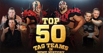 Best WWF/WWE Tag Teams