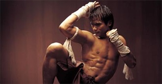 Top 25 Martial Arts Movies