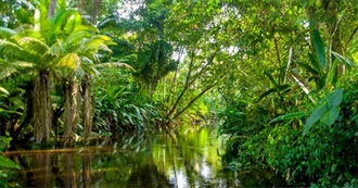 Amazon Rainforest