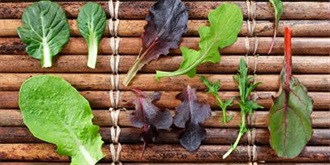 Leafy Green Vegetables