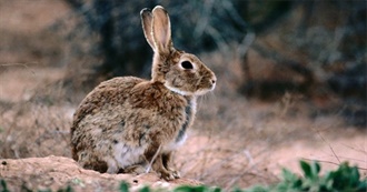 Mammals Introduced to Australia