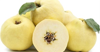 QUIRKY- QUINCES