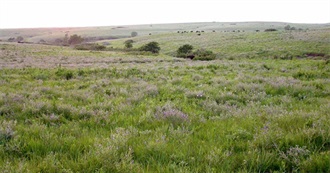 Important Bird Areas: Eastern Tallgrass Prairie