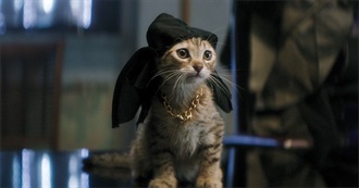 10 Best Movies About Cats