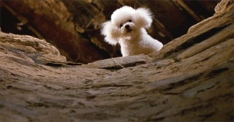 10 Most Memorable Animal Companions in Horror Movies