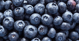 Blueberry Foods