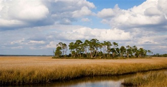 Important Bird Areas: Southeastern Coastal Plain