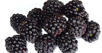 30 Foods With Blackberries