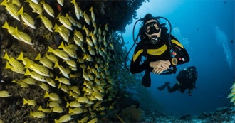 Top Dive Destinations Around the World