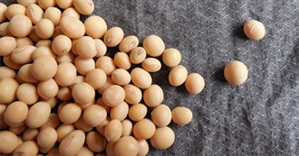 Magnesium - Top 10 Legumes