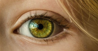 How Many Movies Have You Seen in His Women Eye ?